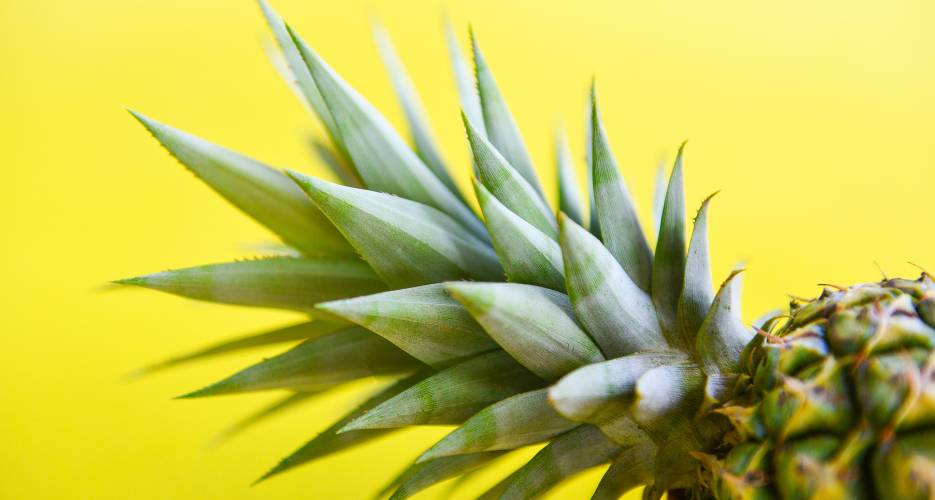Wozu dient Bromelain und wie wirkt es gegen Cellulite?