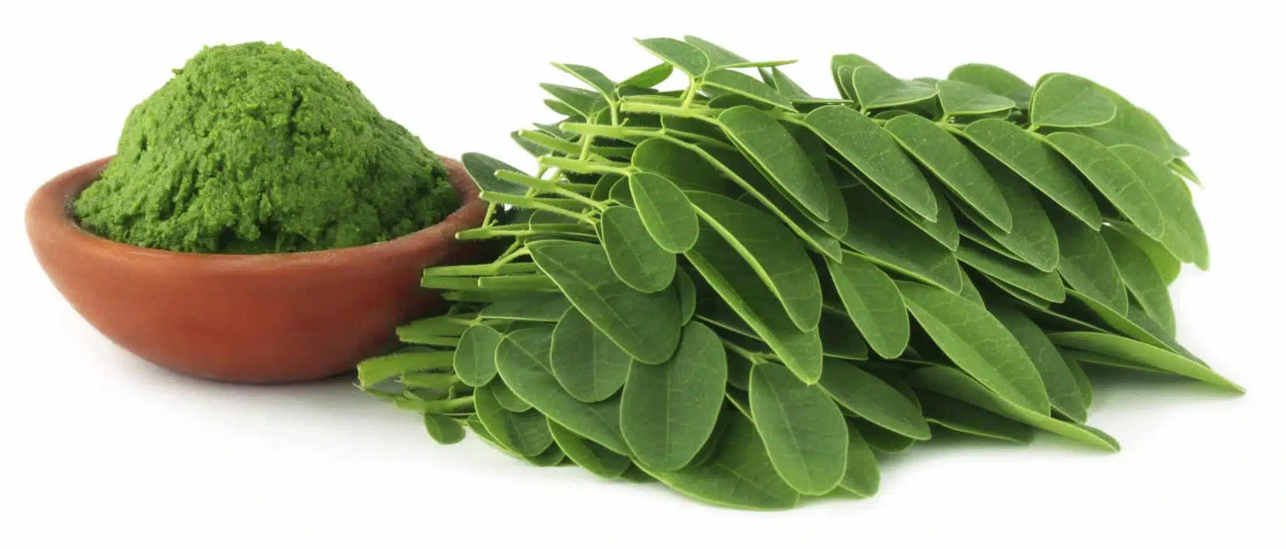 Studien zu den Beziehungen zwischen Moringa und Krebs