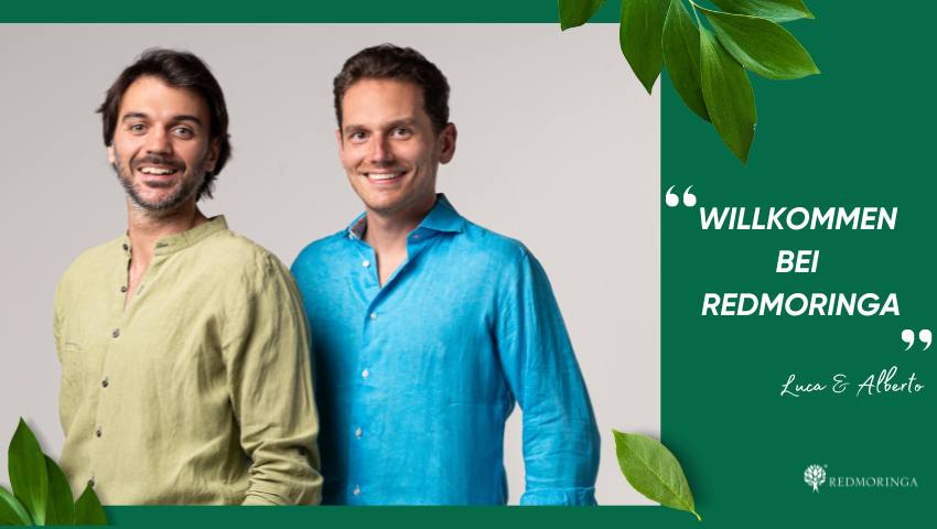 WILLKOMMEN BEI REDMORINGA