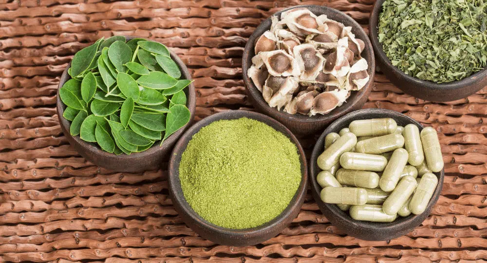 Moringa Nahrungsergänzungsmittel - Warum ist Moringa ein Nahrungsergänzungsmittel, das für jeden geeignet ist