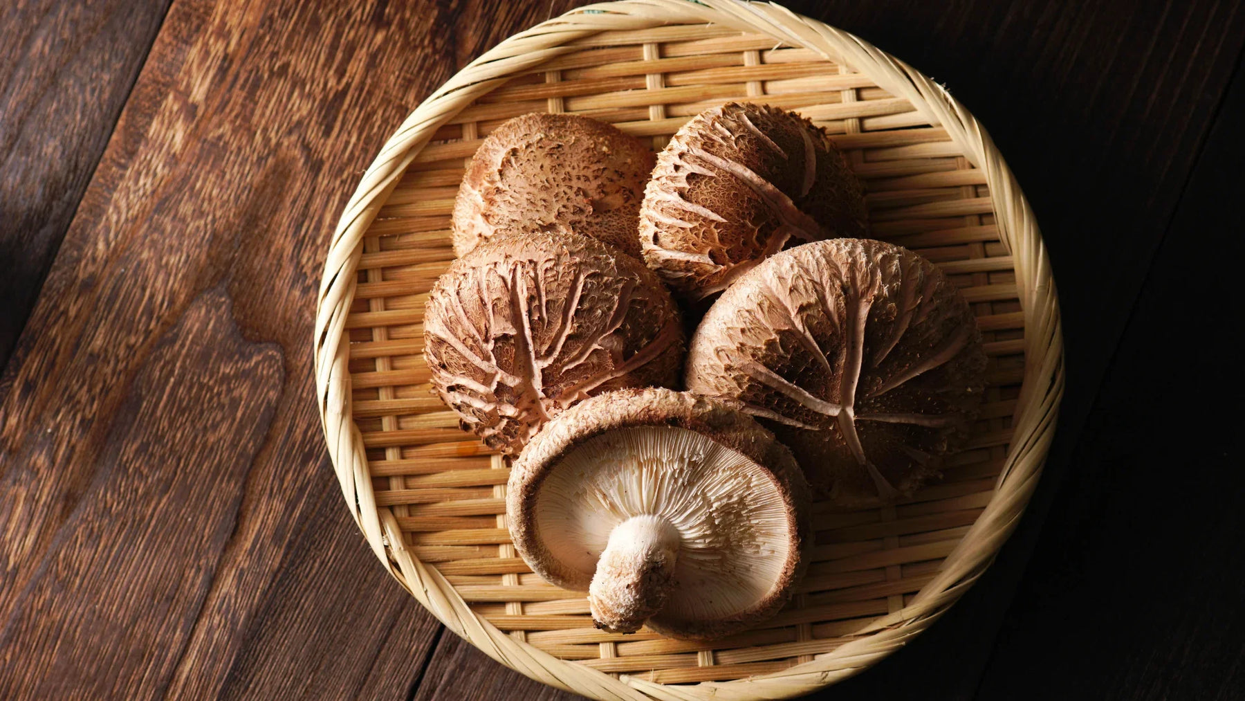 Shiitake-Pilze: Was ist Lentinula edodes, und was kann er wirklich?