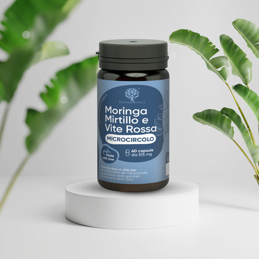 Nahrungserganzungsmittel Mikrozirkulation Beine Blaubeere und Moringa