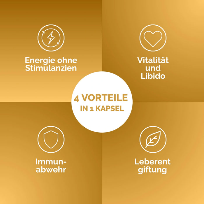 Cordyceps Kapseln: 4 Vorteile in 1 Kapsel – Energie ohne Stimulanzien, Vitalität, Libido, Immunabwehr