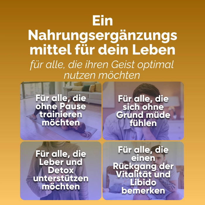 Cordyceps Nahrungsergänzung für alle, die trainieren, chronische Müdigkeit haben oder Vitalität und Libido unterstützen wollen