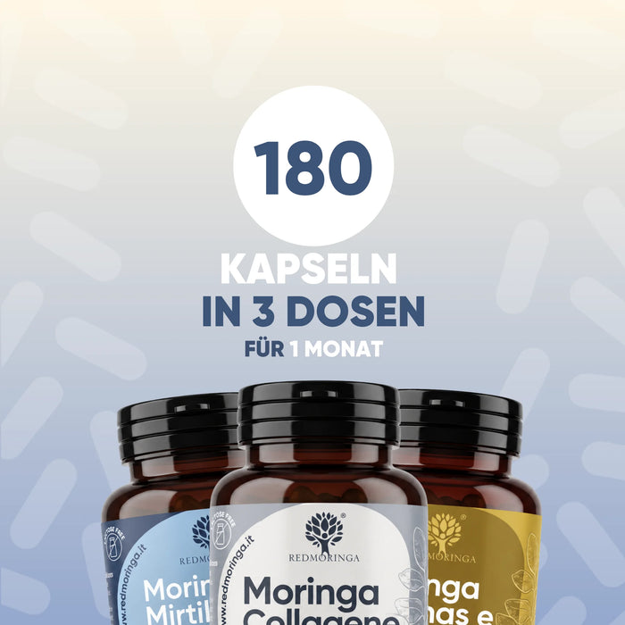 180 gélules en 3 flacons pour 1 mois