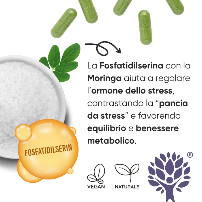 Phosphatidylsérine 450 mg + Moringa | Cortisol, stress