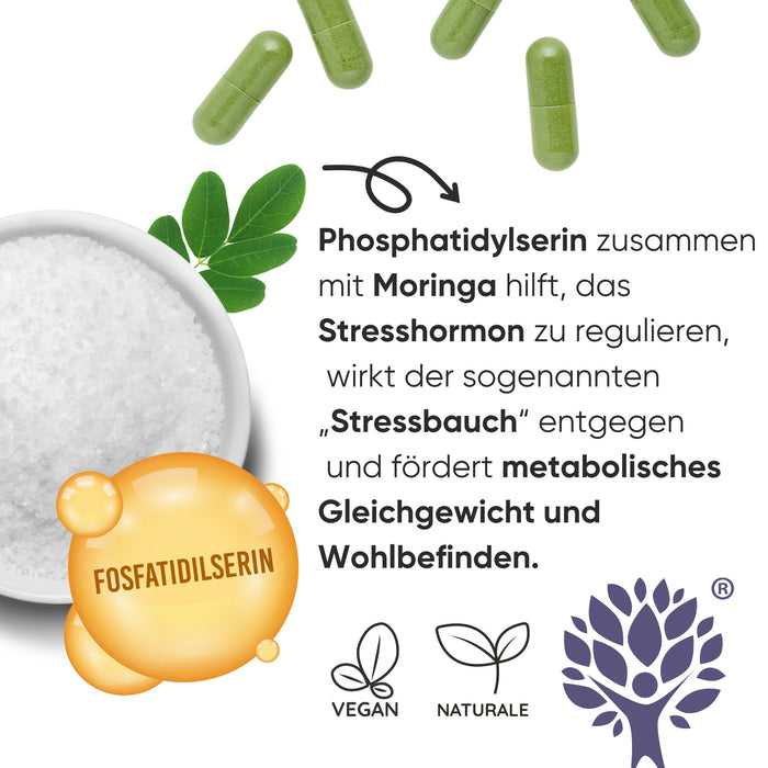Phosphatidylsérine 450 mg + Moringa | Cortisol, stress