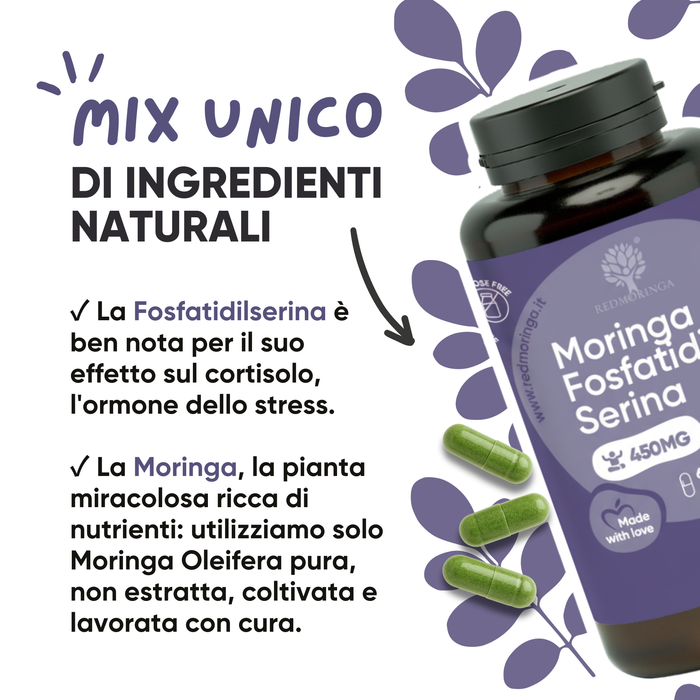 Phosphatidylsérine 450 mg + Moringa | Cortisol, stress