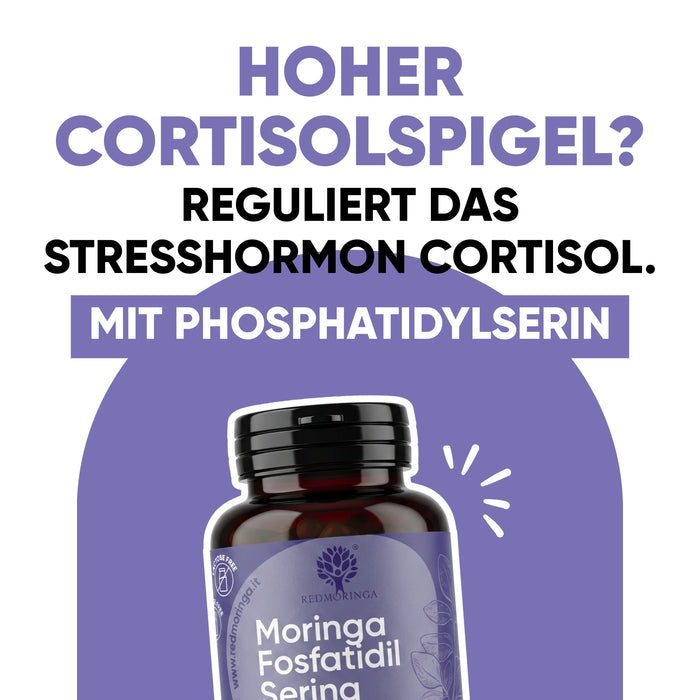 Kit Été Anti-Cortisol | Moringa Bio + Phosphatidylsérine + Benessere Mentale | Stress · Énergie · Équilibre