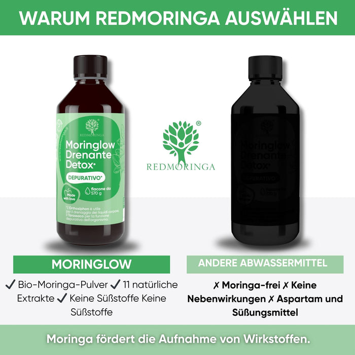 Natürliche Detox-Formel mit MORINGLOW für Mikrozirkulation und Leichtigkeit

