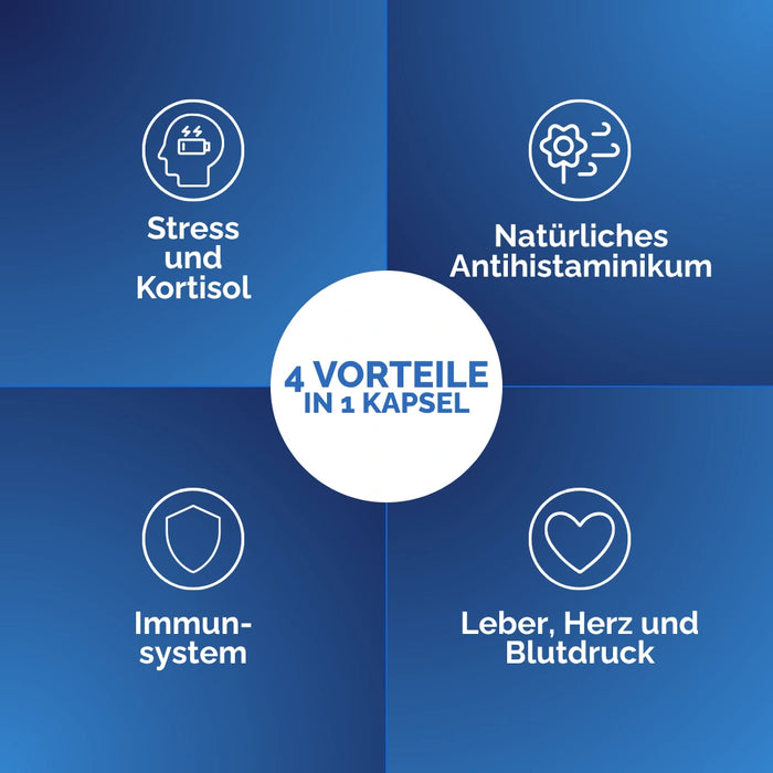 Reishi Kapseln: 4 Vorteile in 1 Kapsel – Stress und Cortisol, Antihistaminikum, Immunsystem, Leber