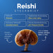 Reishi – der "Pilz des spirituellen Lebens" aus Ostasien: Ganodersäure, 30% Polysaccharide, 2000 Jahre Tradition