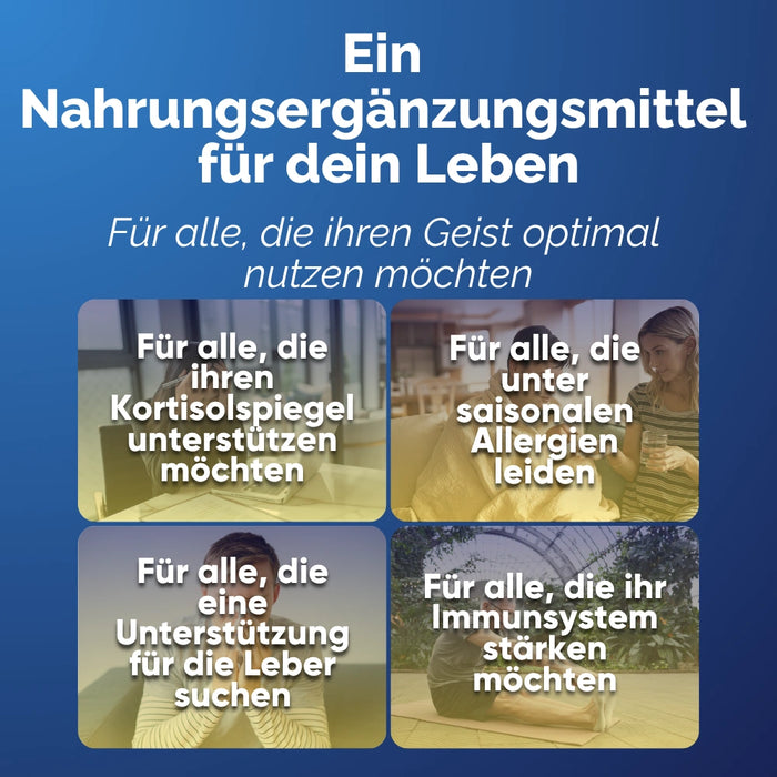 Reishi Nahrungsergänzung für alle, die Cortisol, Saisonallergien, Leber und Immunsystem unterstützen wollen
