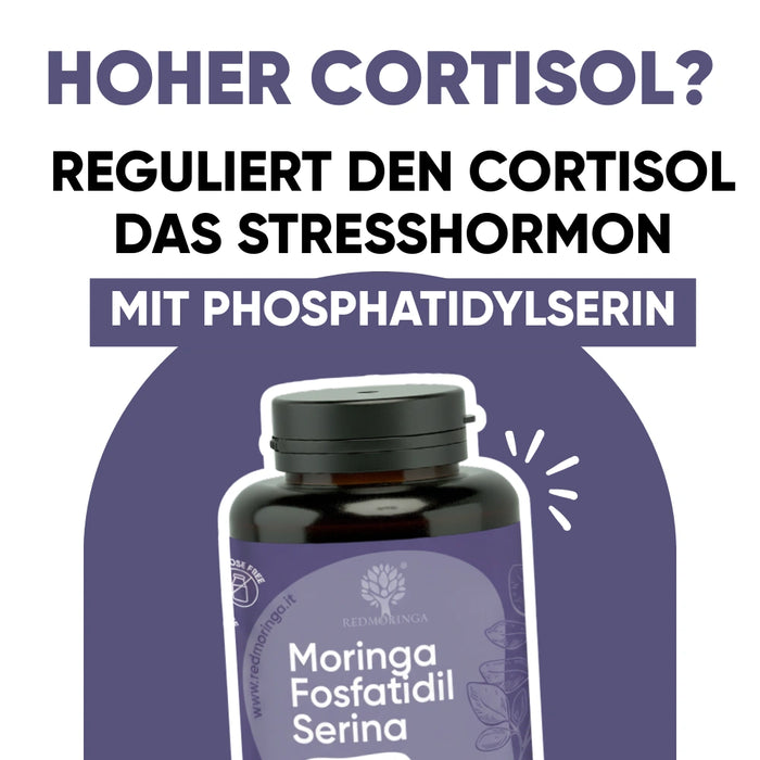 Werbebanner mit der Frage „Hoher Cortisol?“ und der Antwort „Reguliert das Stresshormon mit Phosphatidylserin“. Abgebildet ist eine Dose RedMoringa Phosphatidylserin.